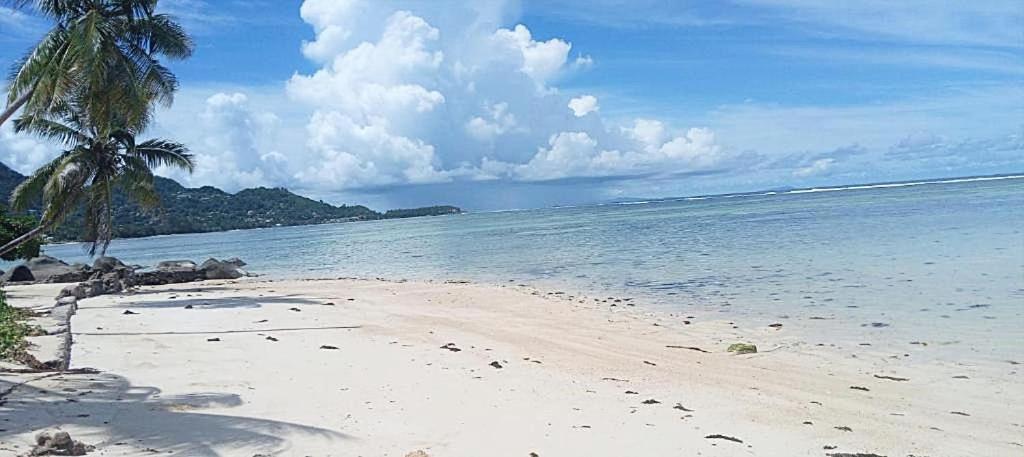 Pointe Au SelL'Echappee Du Capアパートメント エクステリア 写真
