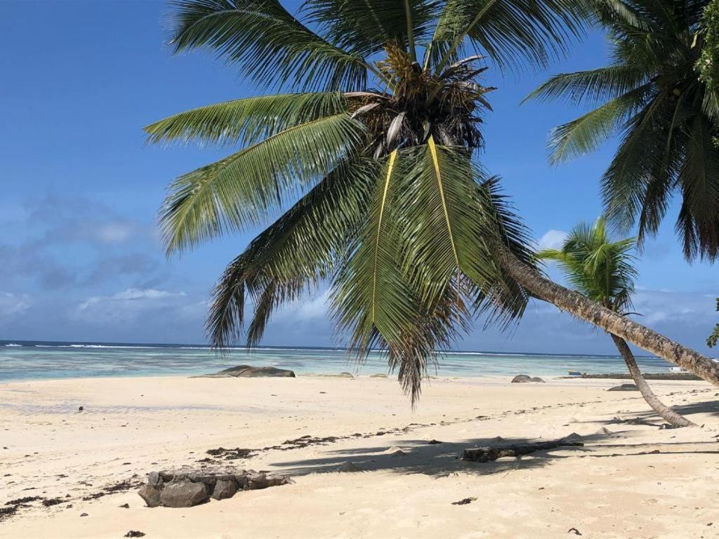 Pointe Au SelL'Echappee Du Capアパートメント エクステリア 写真
